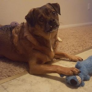 Meet your Posher, Tammy